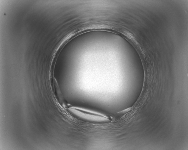 X0000053111181200508081217