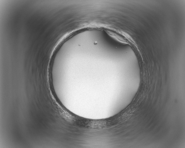 X0000053111183200508081217