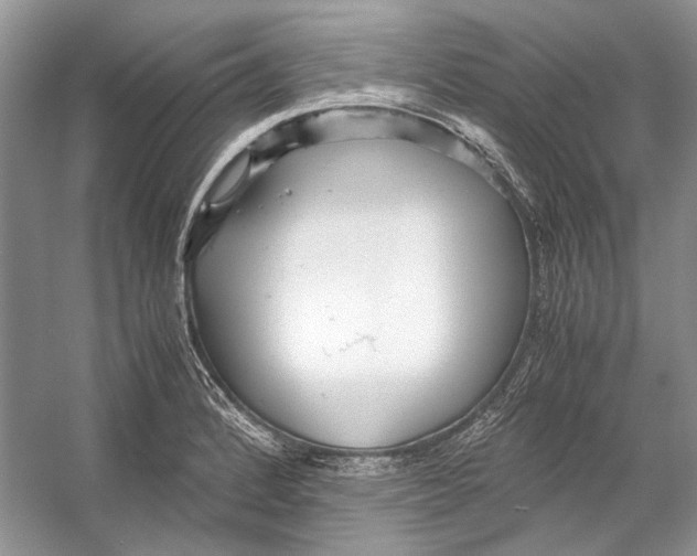 X0000053111184200508081217