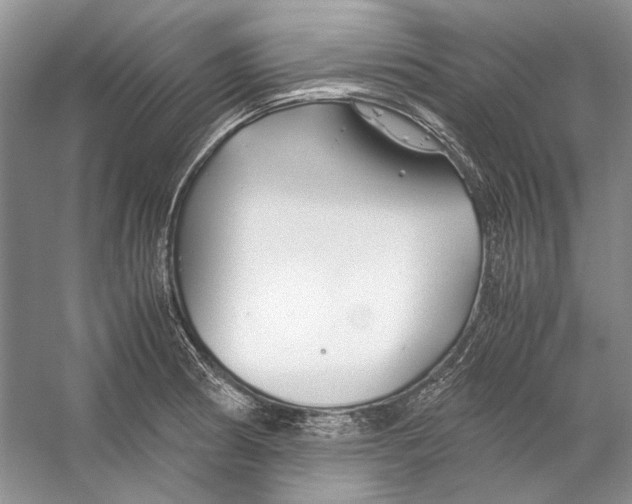 X0000053111186200508081217