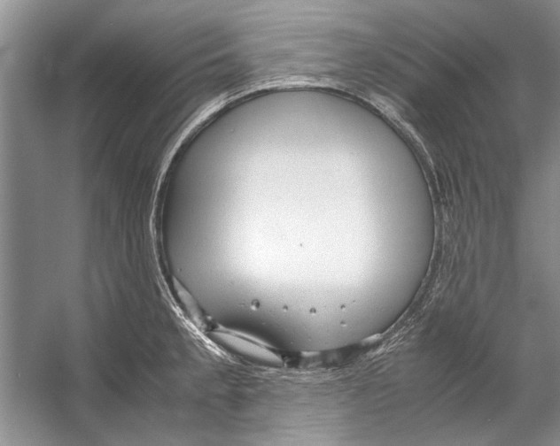 X0000053111189200508081217