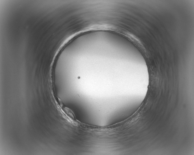 X0000053111192200508081217