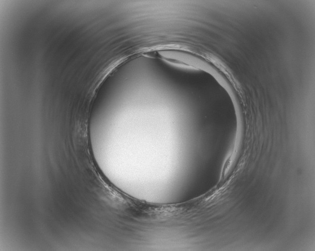 X0000053111193200508081217