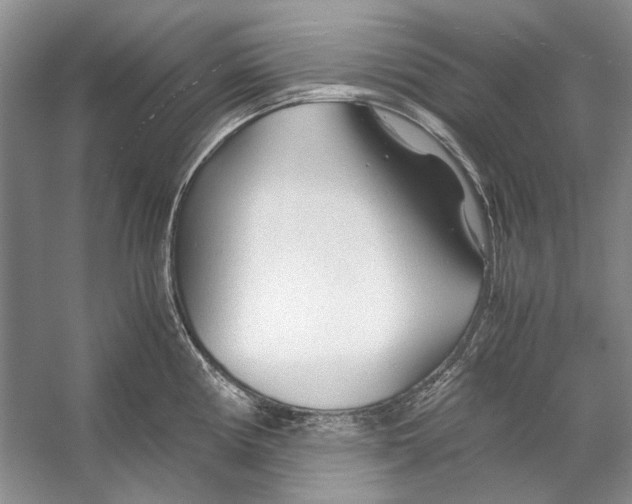 X0000053111194200508081217