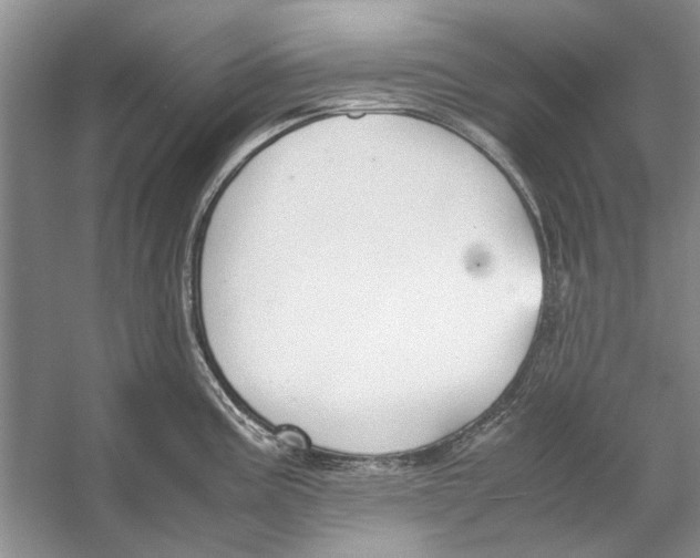 X0000053111195200508081217