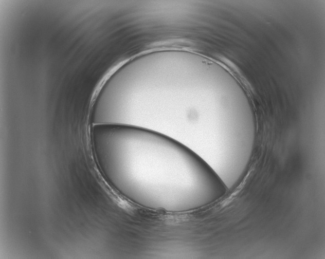 X0000053111196200508081217