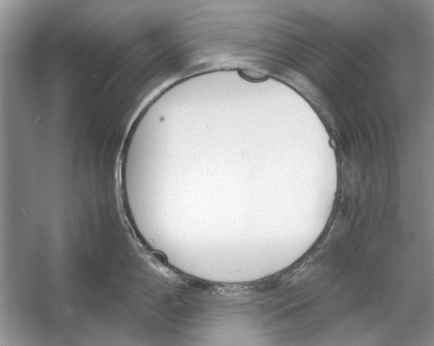 X0000053111198200508081217