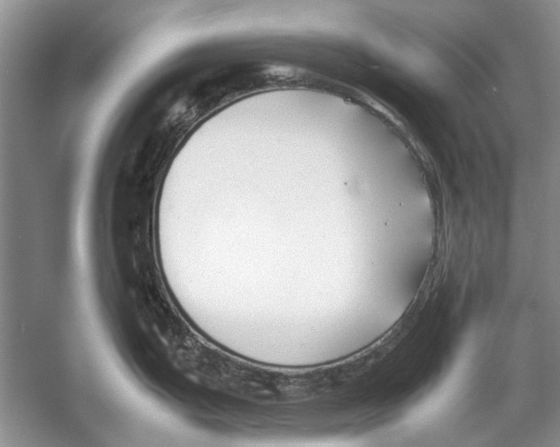 X0000053111199200508081217