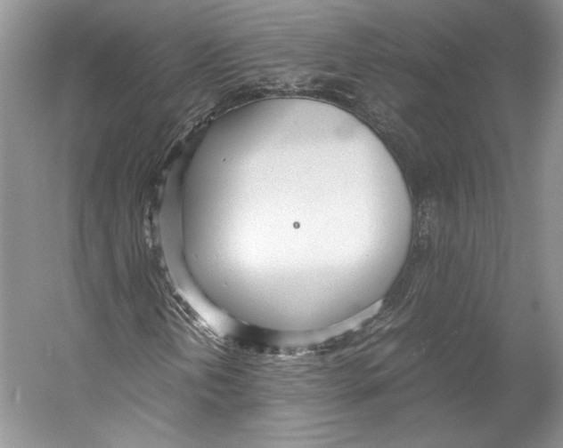 X0000053111202200508081216