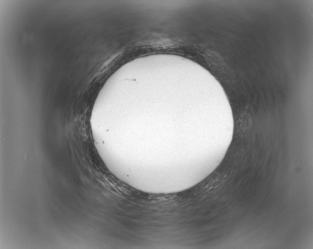 X0000053111205200508081216