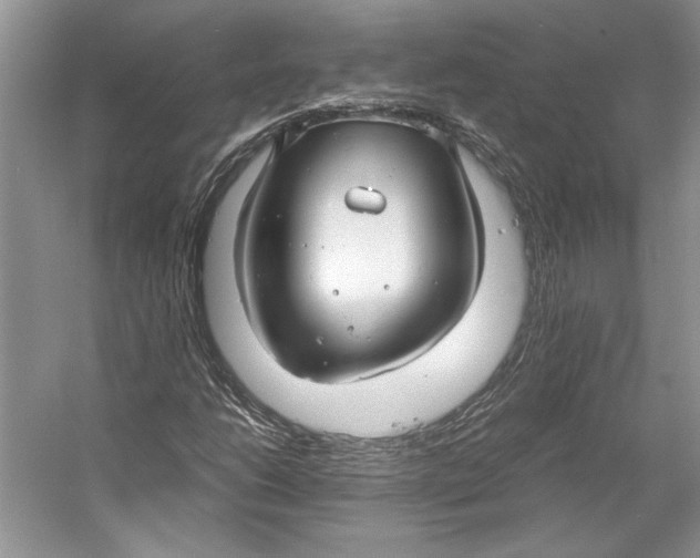 X0000053111206200508081216