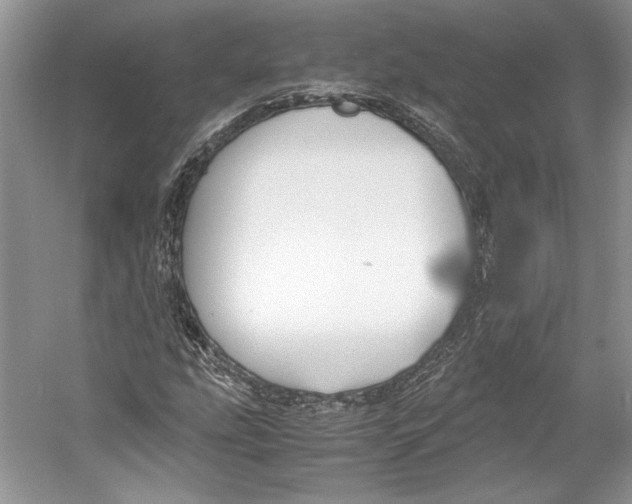 X0000053111207200508081216