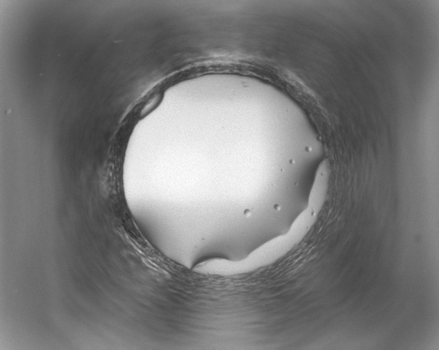 X0000053111208200508081216