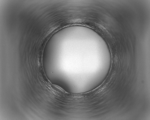 X0000053111209200508081216