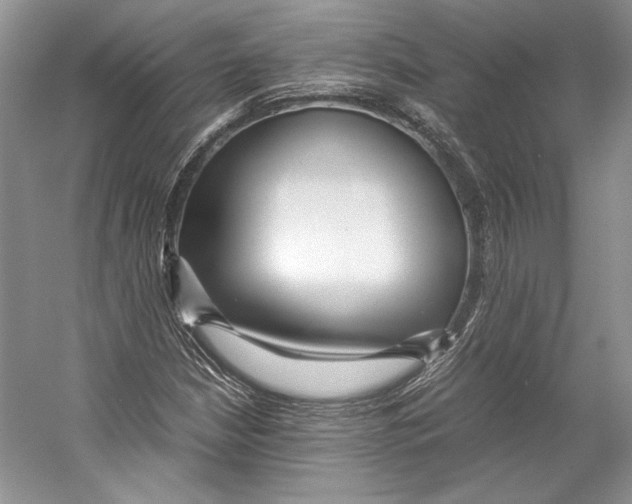 X0000053111210200508081216