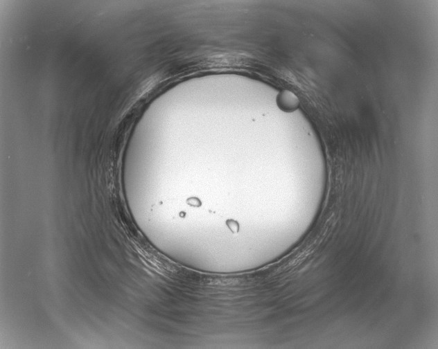 X0000053111211200508081216