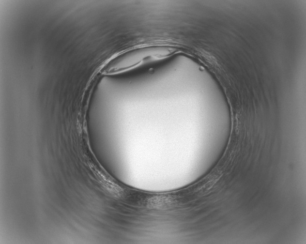 X0000053111212200508081216