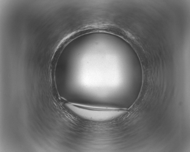 X0000053111214200508081216