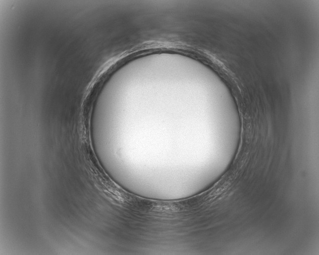 X0000053111215200508081216