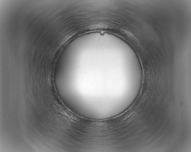 X0000053111217200508081216