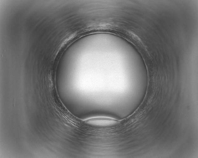 X0000053111218200508081216