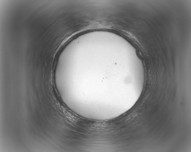 X0000053111220200508081216