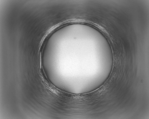 X0000053111223200508081216