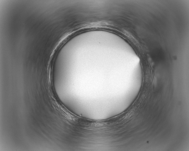 X0000053111224200508081216