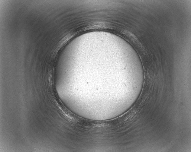 X0000053111225200508081216