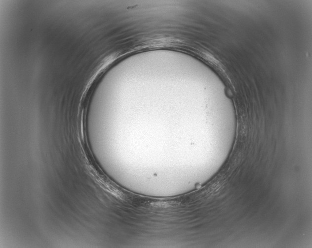 X0000053111227200508081217