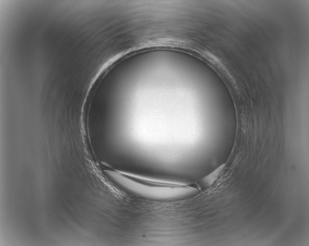 X0000053111230200508081217