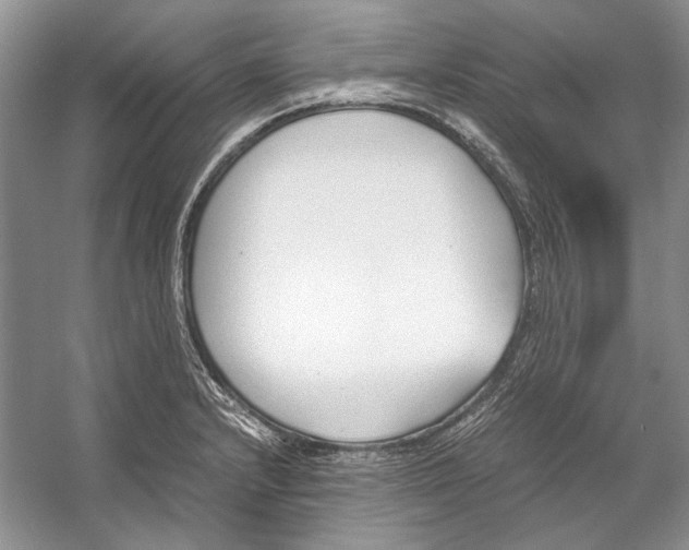 X0000053111232200508081217