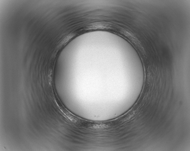 X0000053111233200508081217