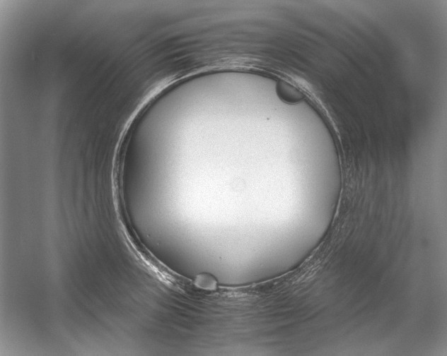 X0000053111235200508081217