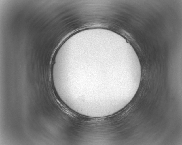 X0000053111236200508081217