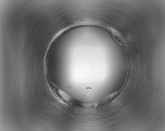 X0000053111238200508081217