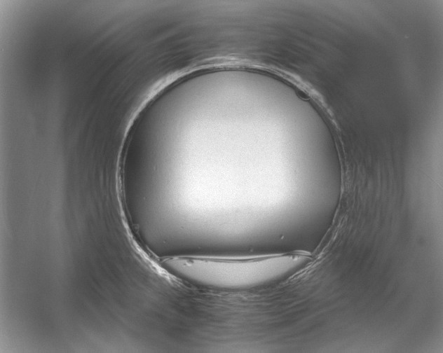 X0000053111239200508081217