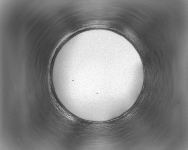 X0000053111240200508081217