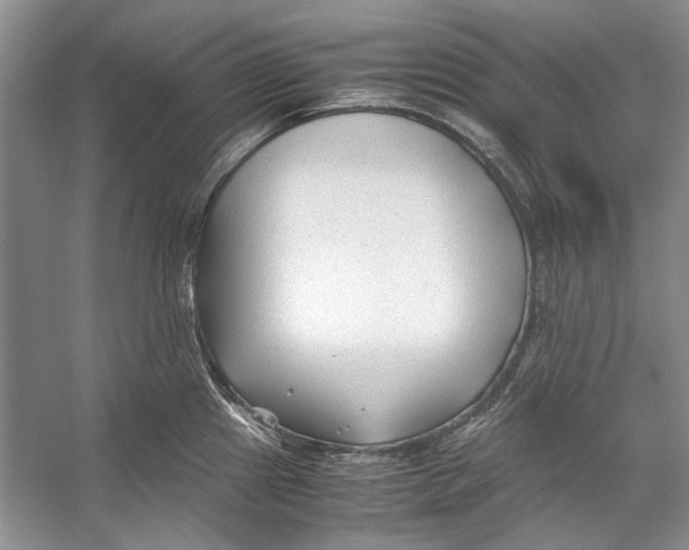 X0000053111241200508081217