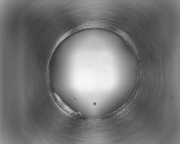 X0000053111242200508081217