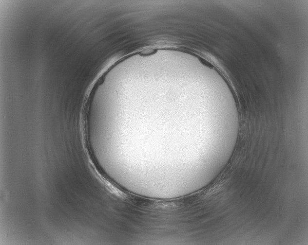 X0000053111243200508081217