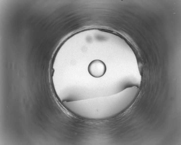 X0000053111246200508081217