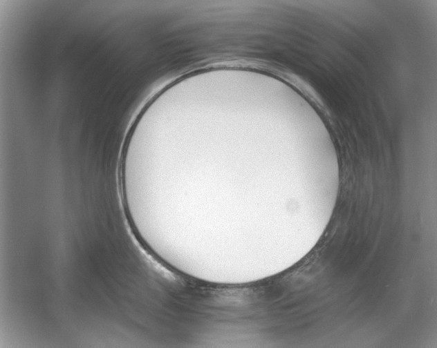 X0000053111247200508081217