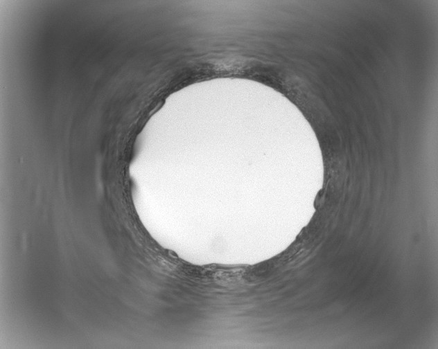 X0000053111249200508081216