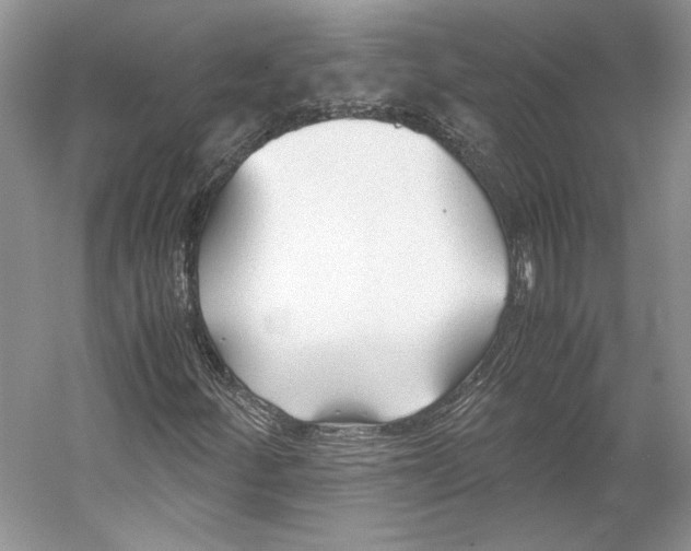 X0000053111252200508081216