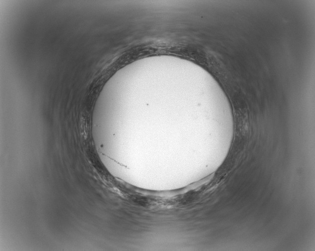 X0000053111253200508081216