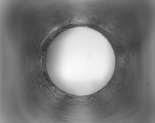 X0000053111254200508081216