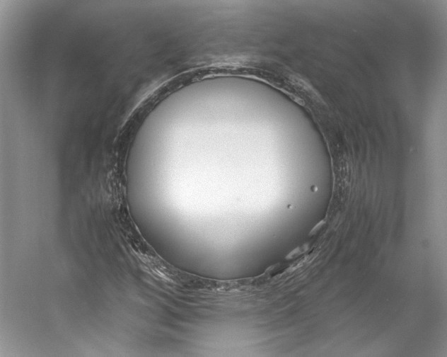 X0000053111256200508081216