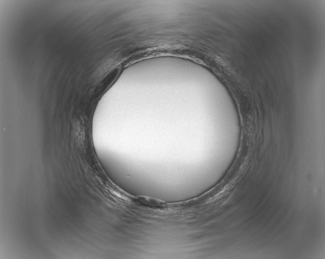 X0000053111257200508081216