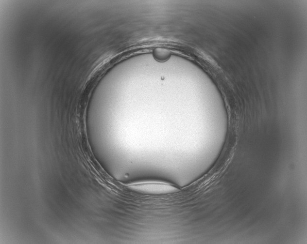 X0000053111259200508081216